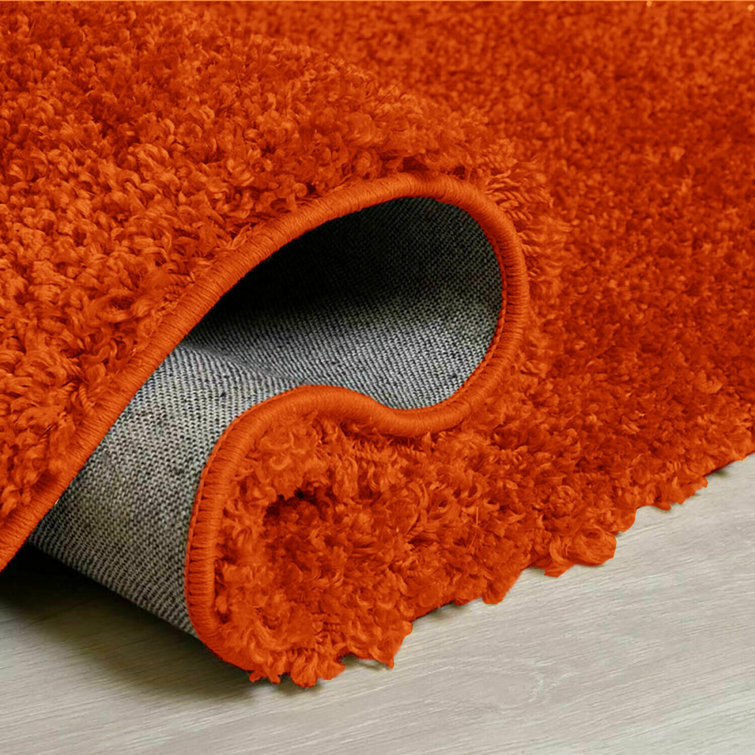 Ebern Designs Soft Shaggy Verona Rug Living Room Bedroom Carpet Hallway